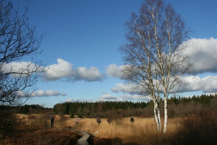 378654 - foto 37
