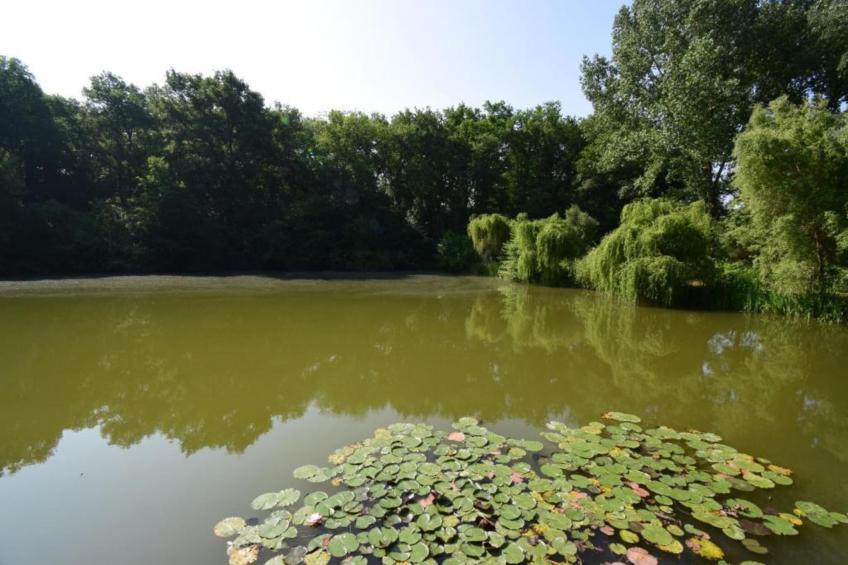 Ecolodge en Sequoia - foto 39