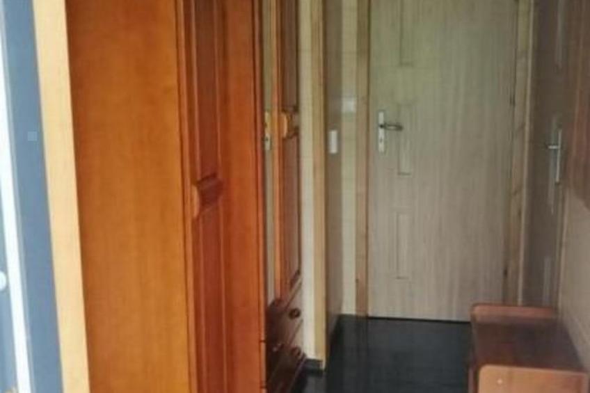 Ganzjahreshäuschen - blau - foto 20