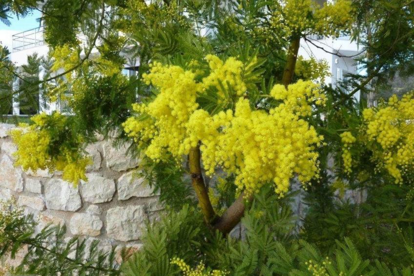 Anwesen "Villa Livadia" mit Infinity-Pool - foto 40