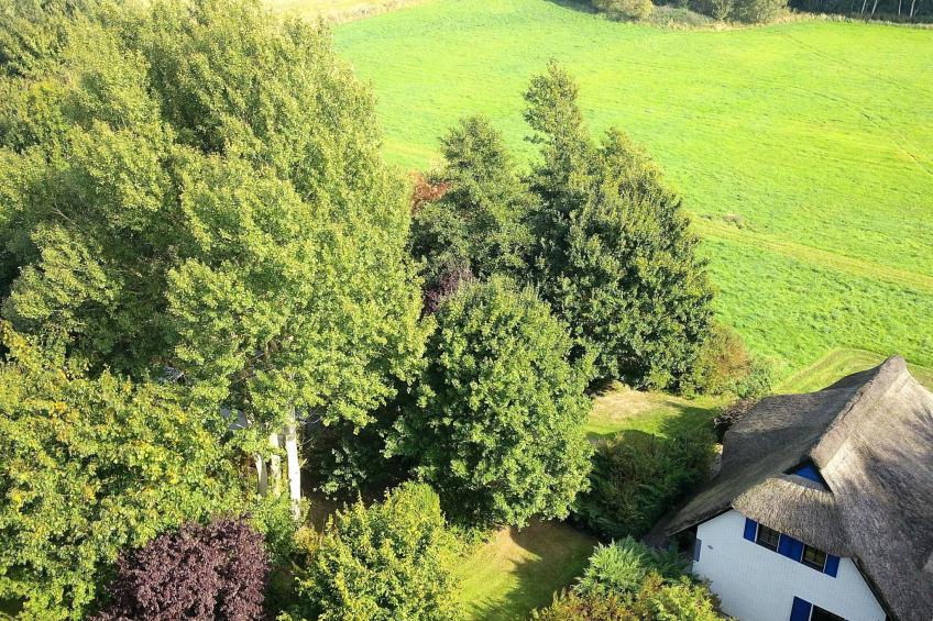 Haus-Zauberblau - foto 11