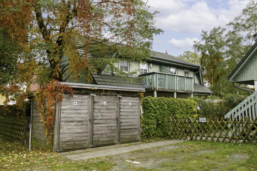 Am Küstenwald - foto 22