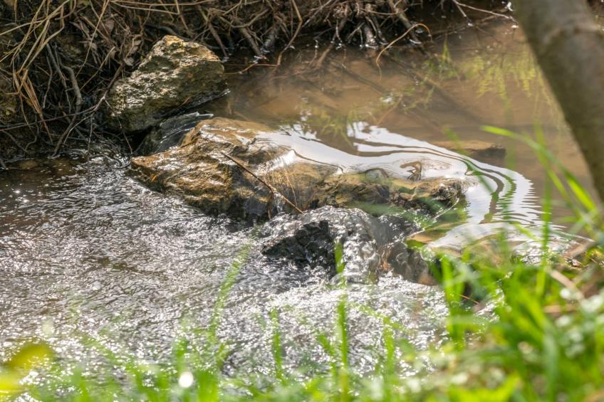 Robinzonski Kamp Hofman - Tent - foto 4