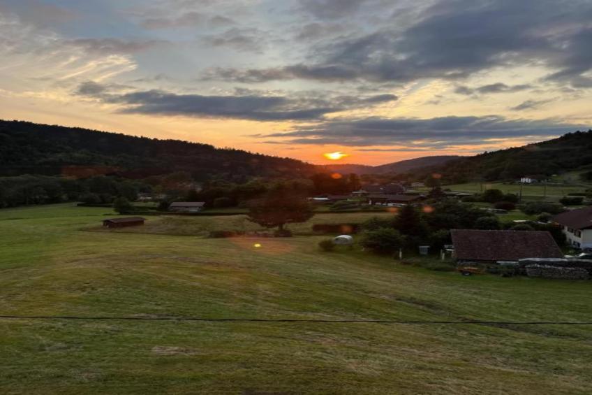 Chalet l'Aigle - Saint-Maurice-sur-Moselle - foto 36