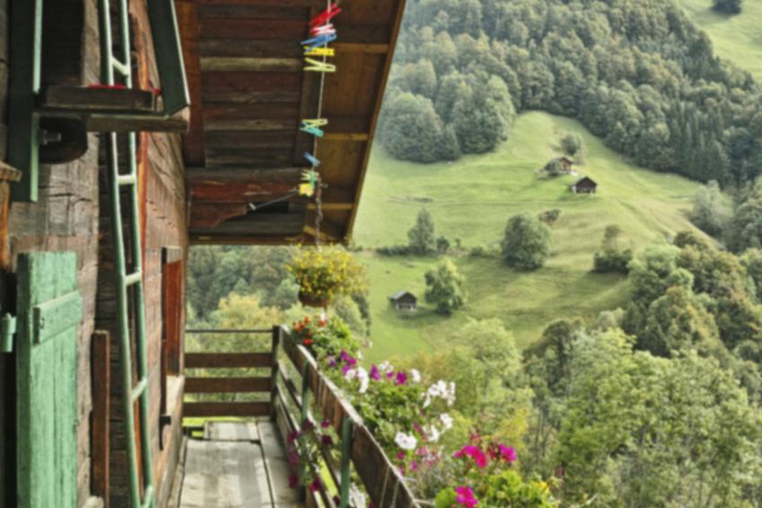 Berghof-Gufel - foto 5