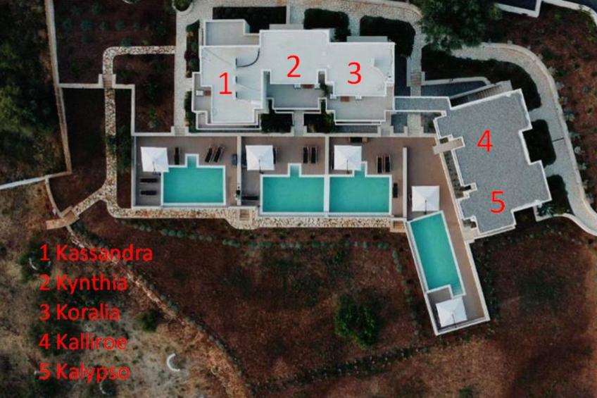 Villa für 4-6 Pers with pool in Plataria - Kalypso - foto 3