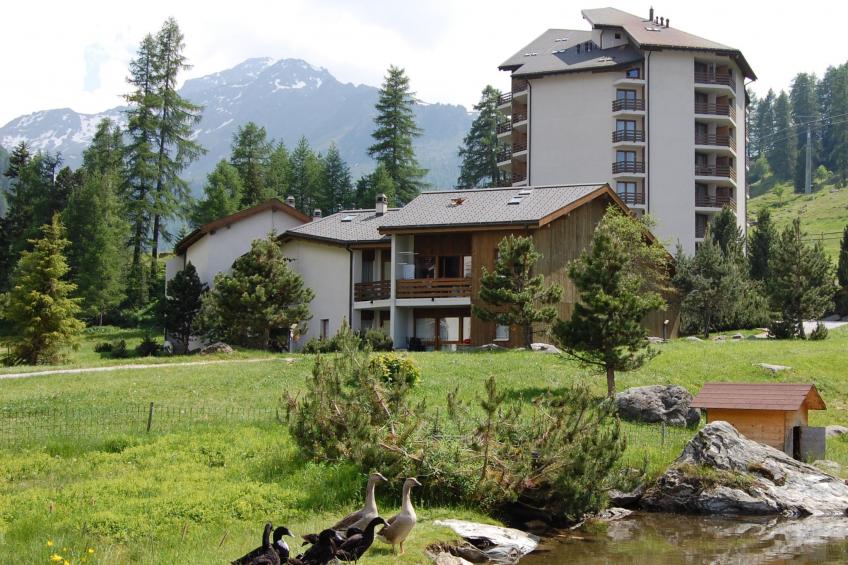 Haute-Nendaz (Siviez) (SIV135) - foto 6