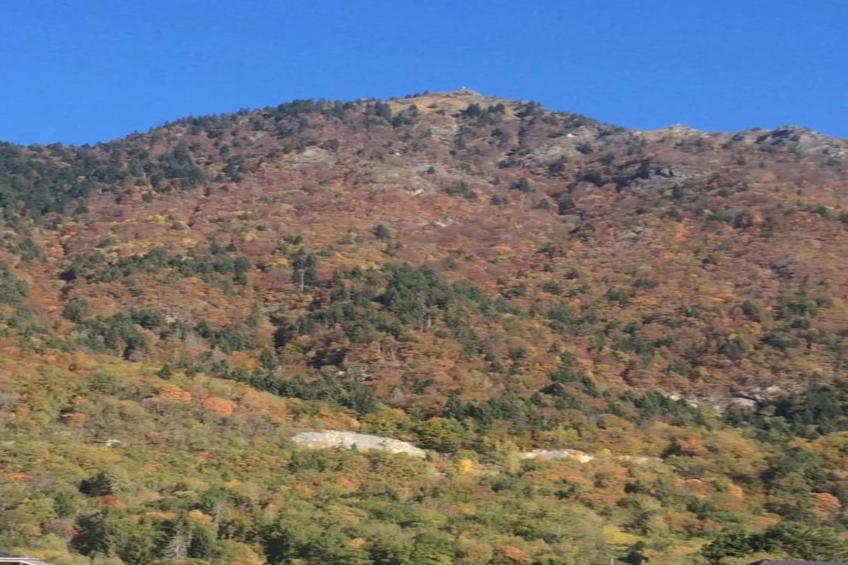 La Ferme de Noémie - foto 32