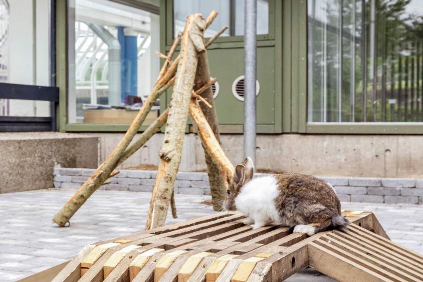 Hus, 5 Vær., 2.badevær. - foto 57
