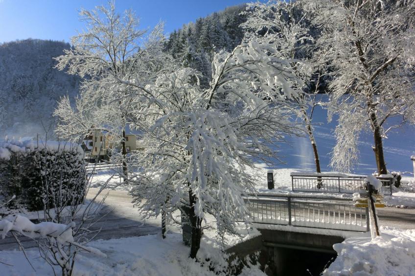 Eulenrast in Loich - foto 28