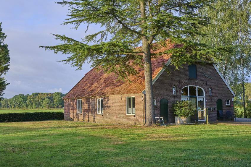 Erve Koeleman - foto 69