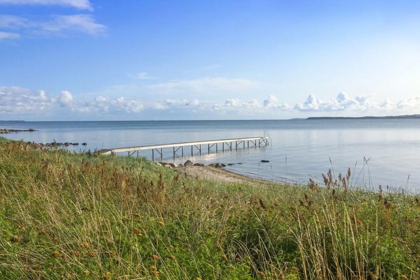 "Regni" - 300m to the inlet in The Liim Fiord - foto 17