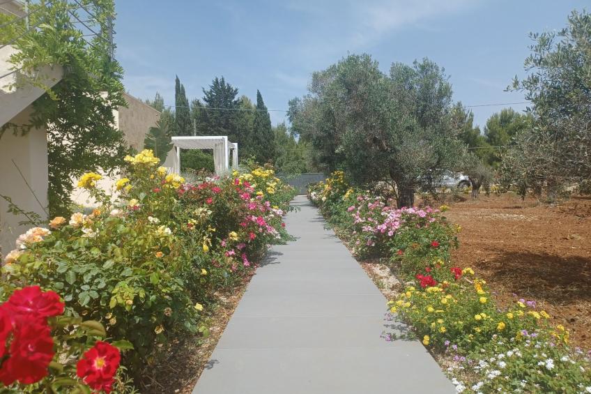 Das "Carolea-Zimmer" zwischen Meer und Landschaft - foto 6