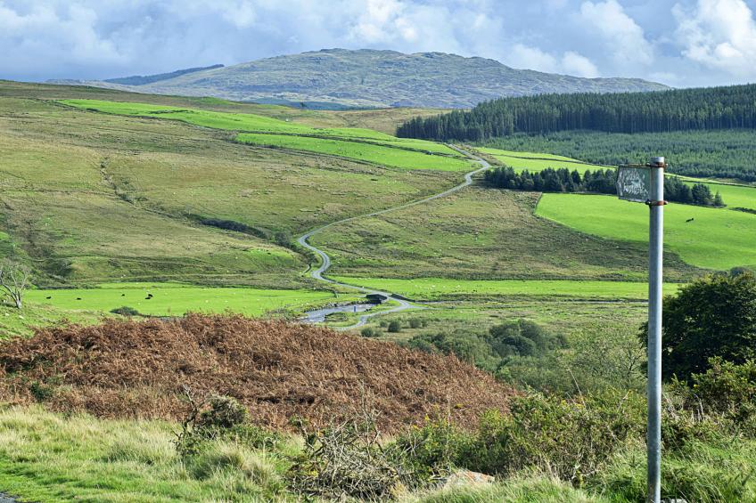 Mountain View - foto 3