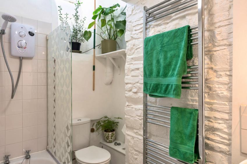 Bre Stefan - foto 10