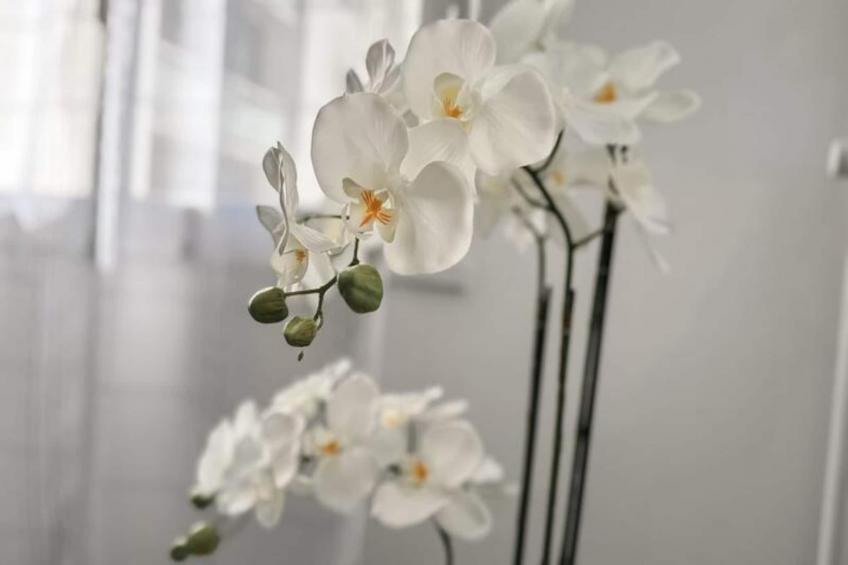 | Le Panorama - foto 23