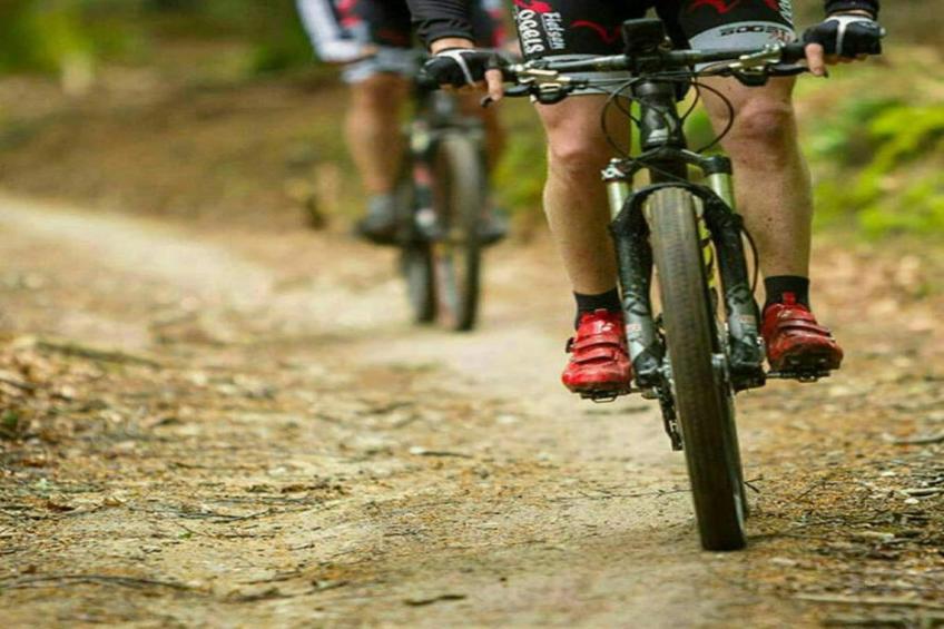 HORTENSIAS - foto 29