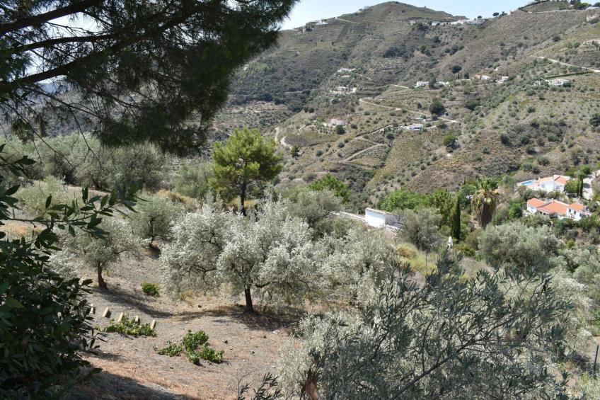 Finca Aguaillo - 20 Minuten zu Fuß ins Dorf - foto 39