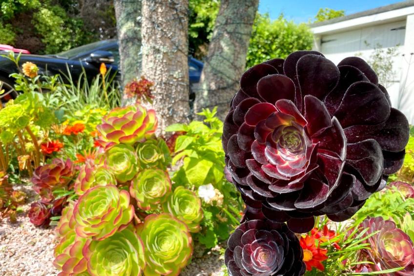 Luxuriöse viktorianische Villa in ruhiger Lage - foto 30