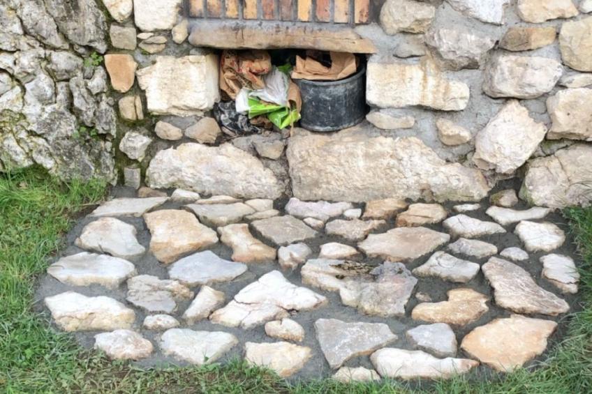 "Au Crêt du Bois" (Auf dem Wald) - foto 26