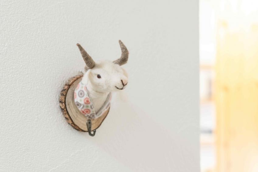 Chesa Michel Bernina - foto 19