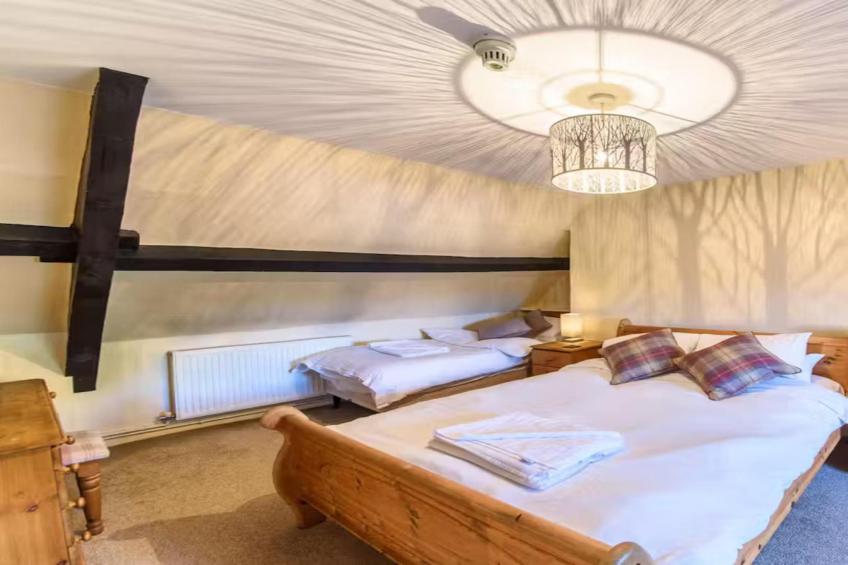 Forest House - foto 19