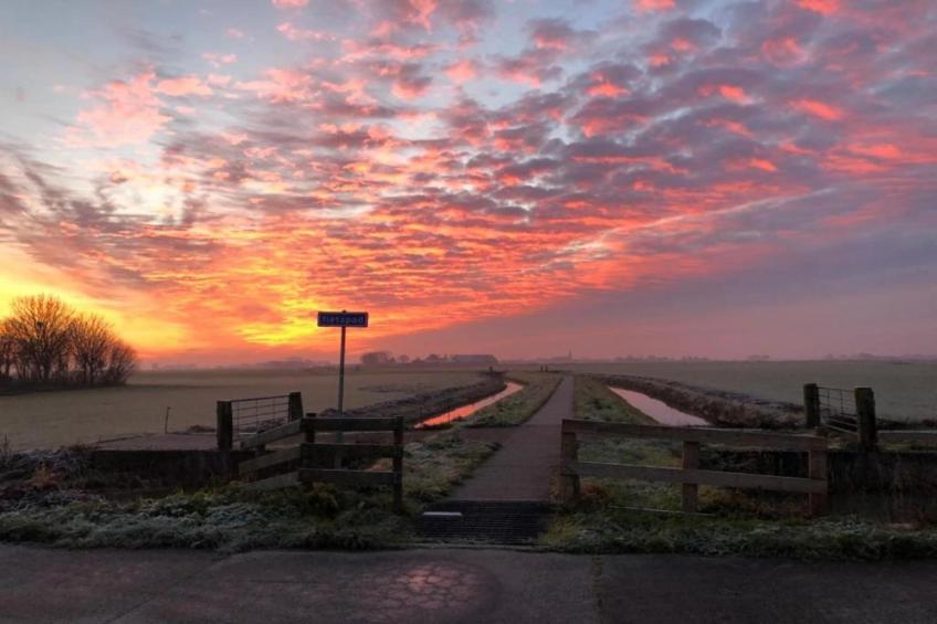 Angema Goet - foto 36