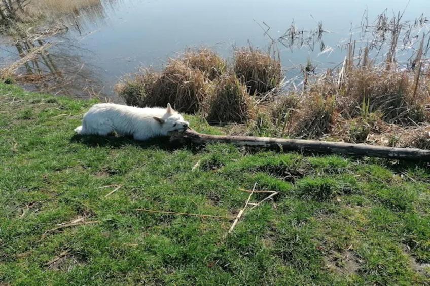 Feldblick 2 - foto 28