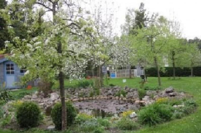 Blaues Haus - foto 17