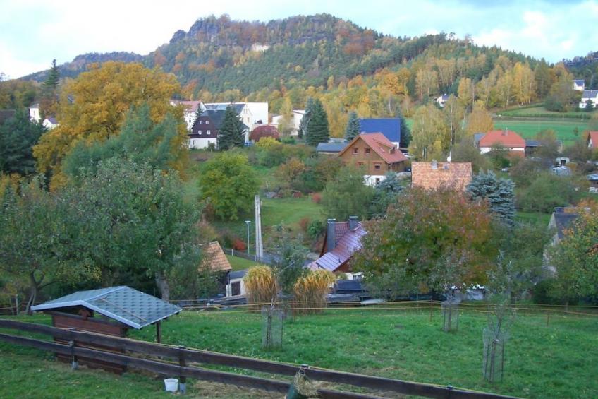 7561 - foto 5