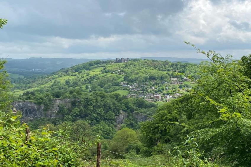 Nelly's Nook - foto 26