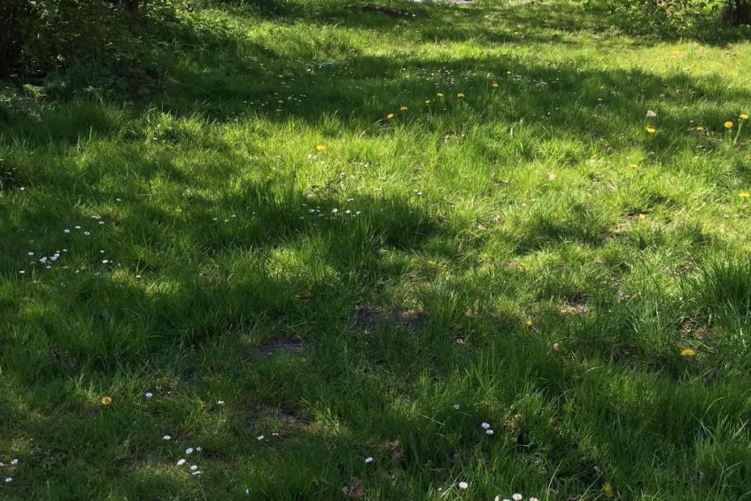 Finkenbusch - foto 21