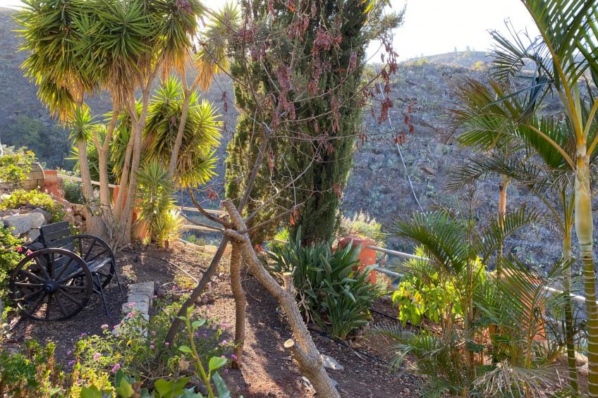 Casa Amarilla - foto 18