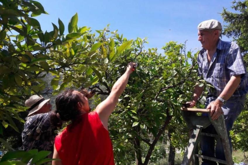 Locations-06 - la maison de noelie - Gartengeschoss - foto 11