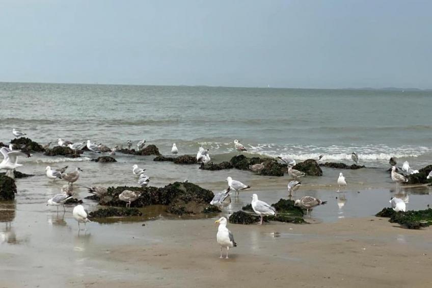 Residence Beauvallon-72 - foto 13