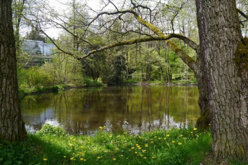 Gästehaus Siebert - foto 31