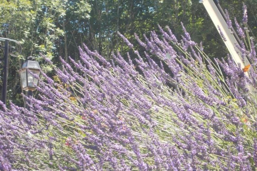 Landhaus in der Dordogne - foto 11