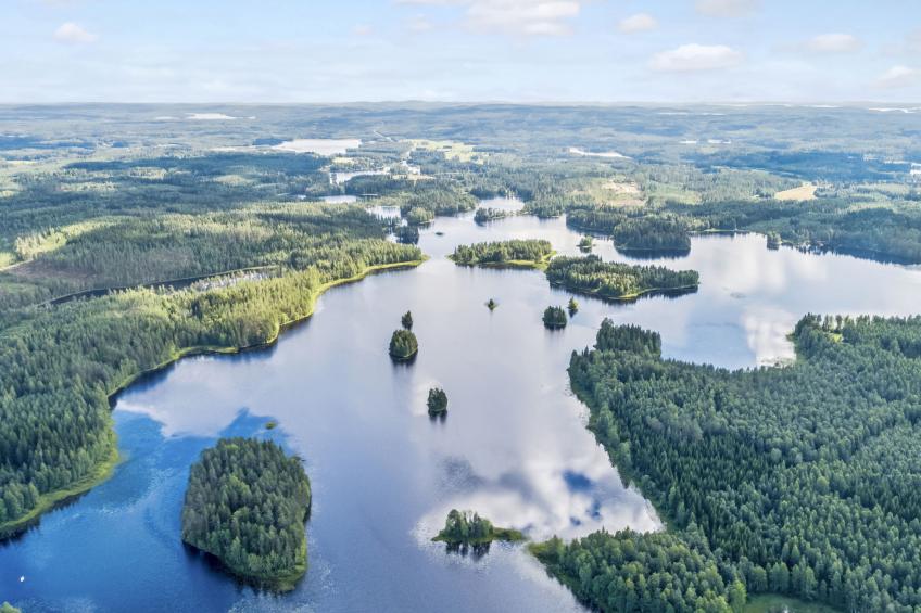 Vaikon loma ja lohi - foto 53