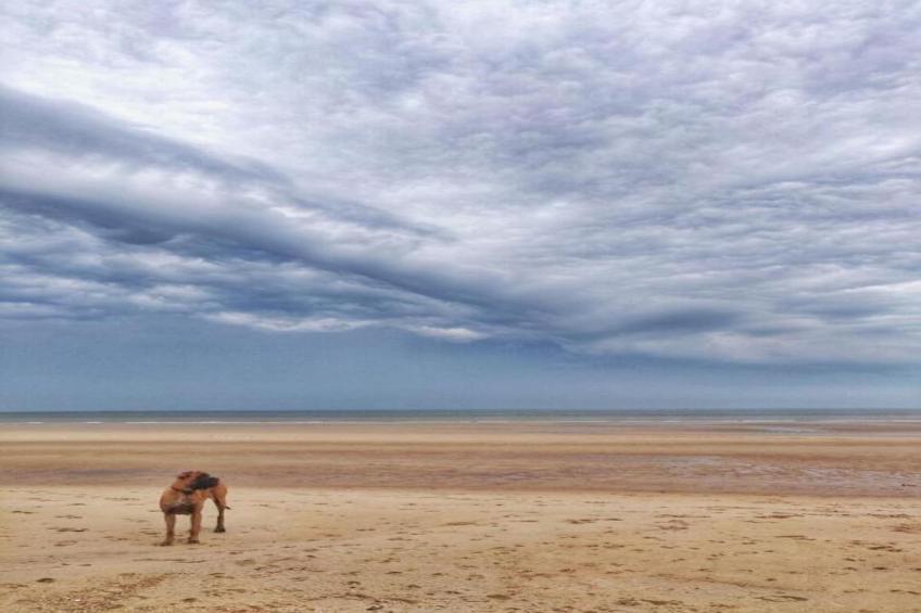 Rosalie 0301 3B - foto 37