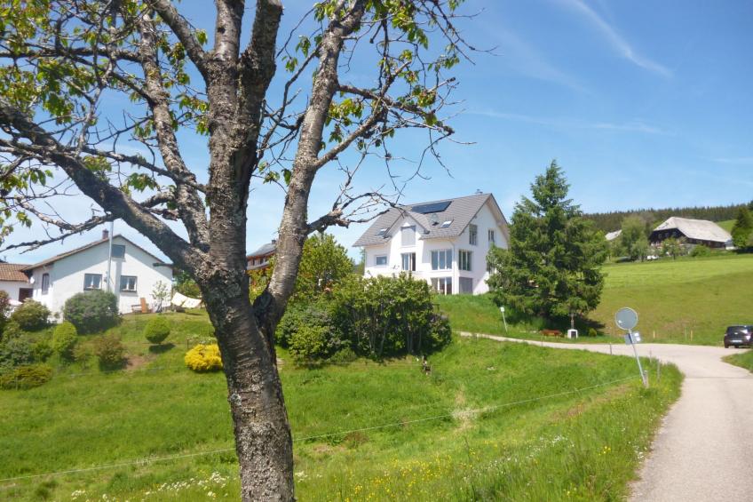 Luxus-Appartement in Kappel - foto 39