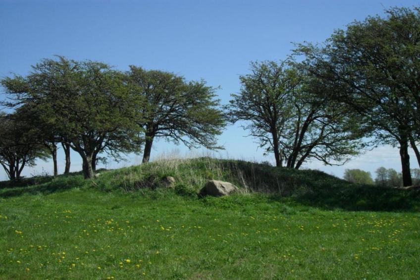 Uferschwalbe 3 - foto 34
