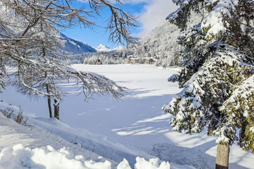 Renaissance 8 - foto 29