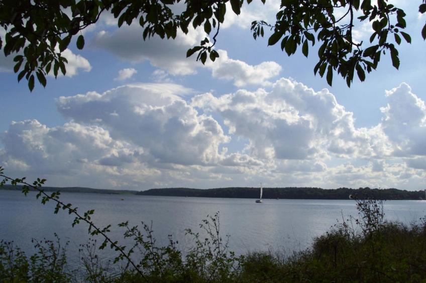 Studio am Rande eines Naturschutzgebietes - foto 26