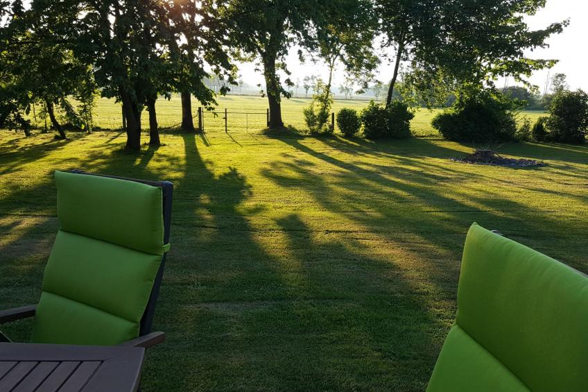 Schöne Wohnung bei Bergen auf Rügen - foto 8