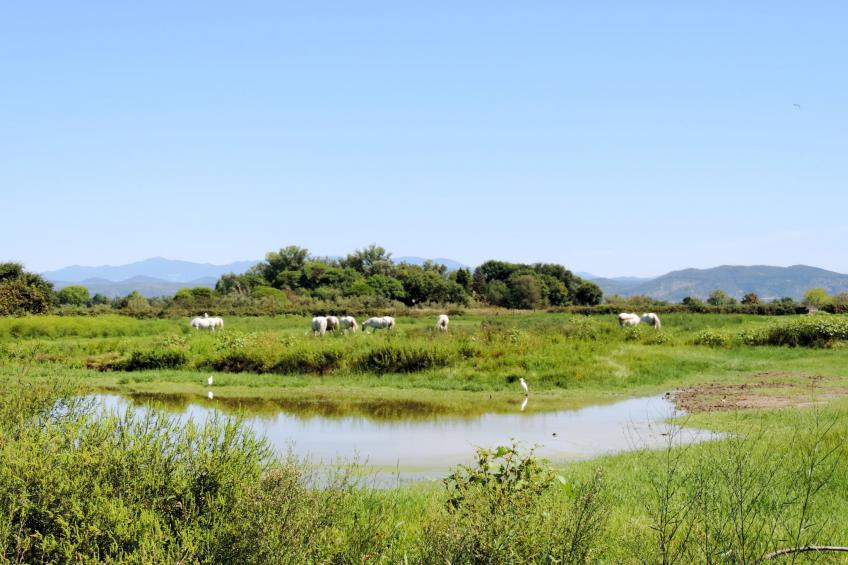 5-Zimmer-Haus, geeignet für große Gruppen - foto 27