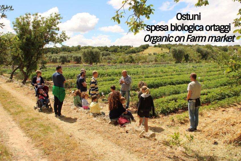 La Corte della Masseria - foto 35