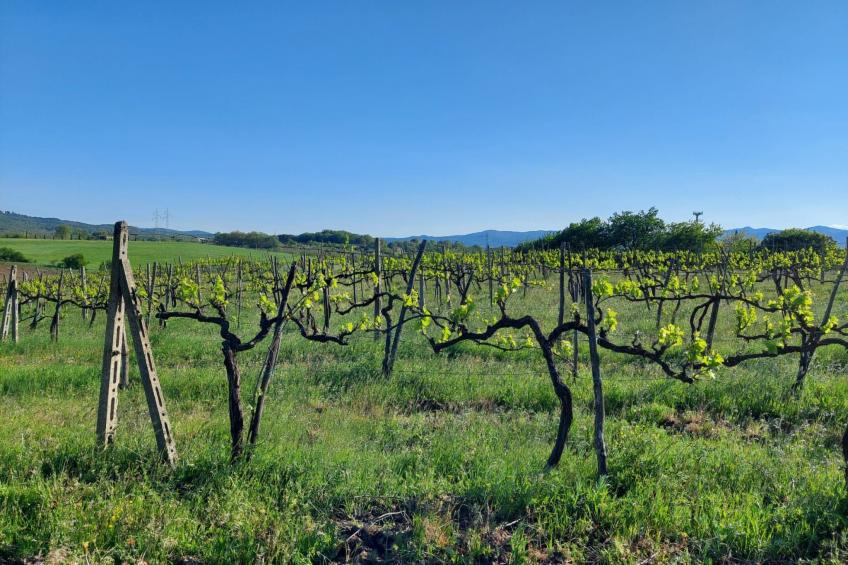 Wohnung in gemütlichem kleinen Bauernhaus - foto 46