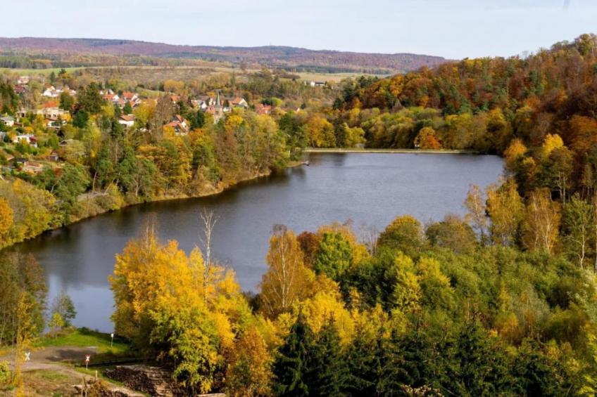 Friedrichshöhe - foto 9