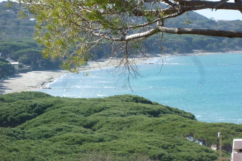 Punta Ala Villa - foto 38