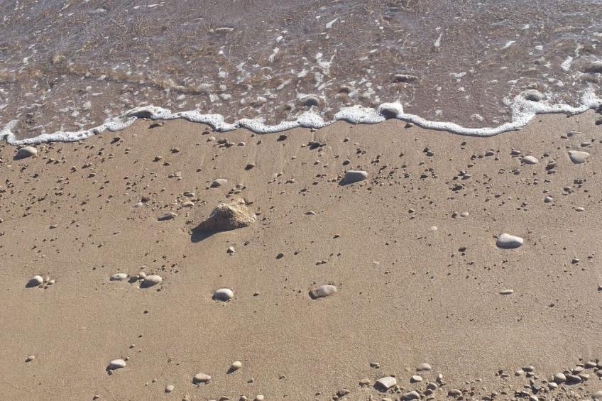 Sea apartment - foto 29